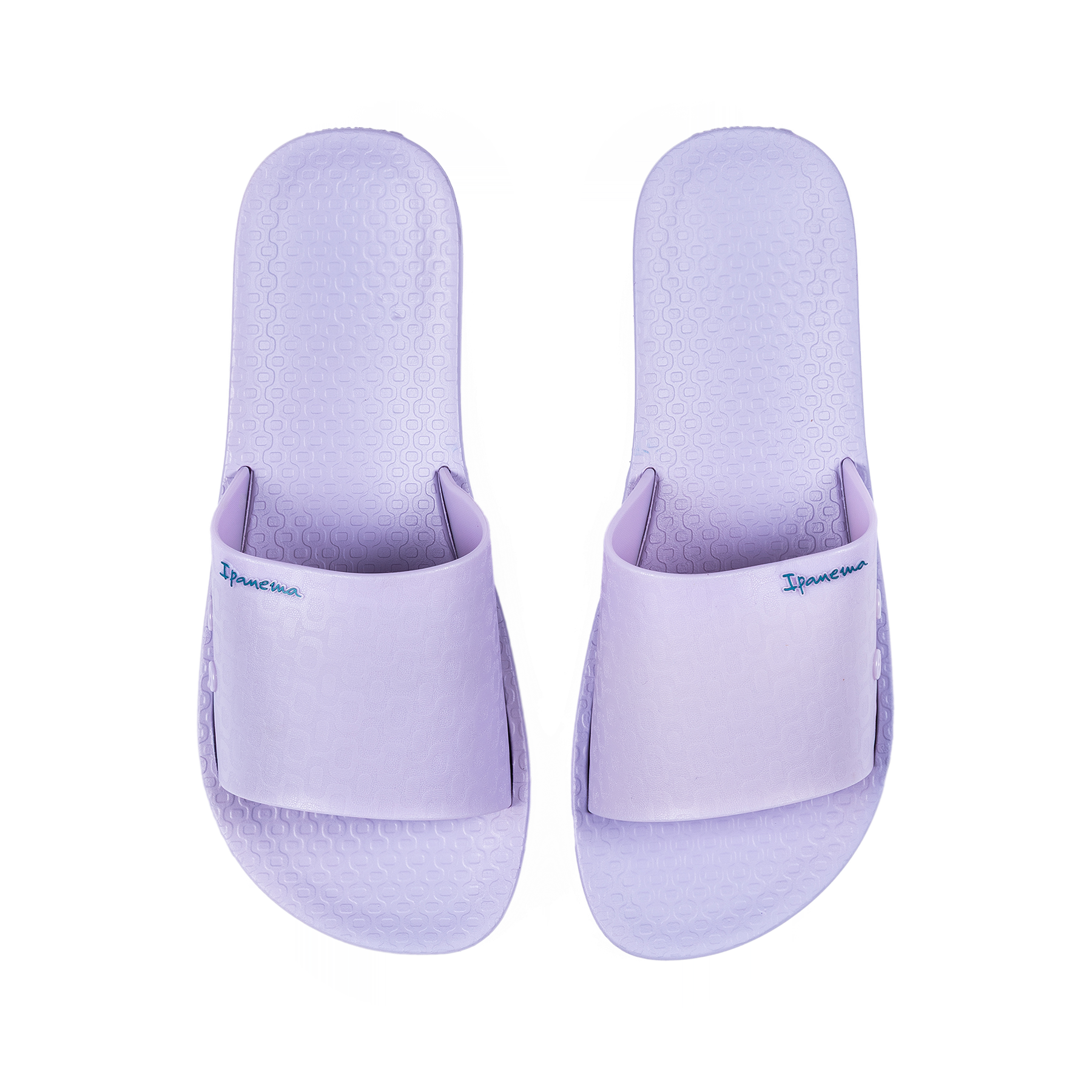 IPANEMA ANAT CLASSIC SLIDE FEM