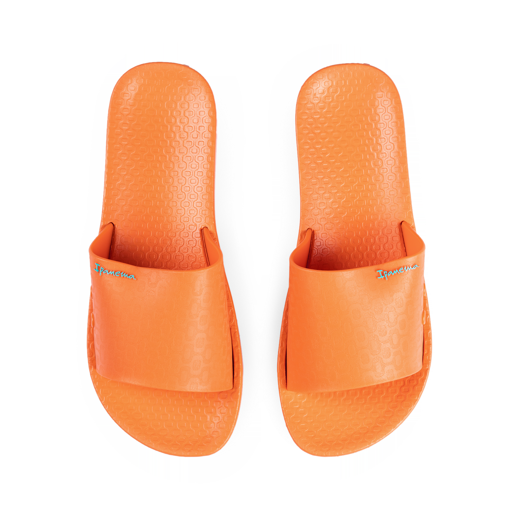 IPANEMA ANAT CLASSIC SLIDE FEM