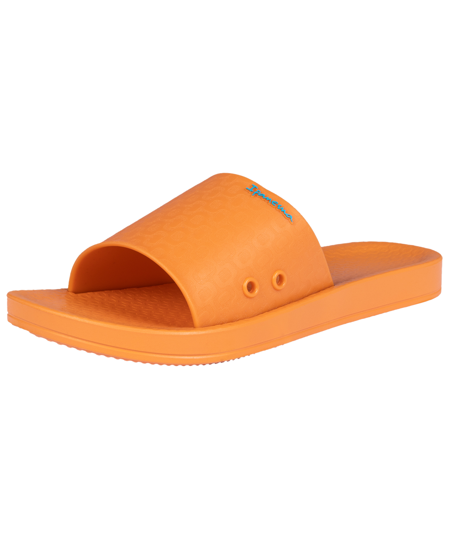 IPANEMA ANAT CLASSIC SLIDE FEM
