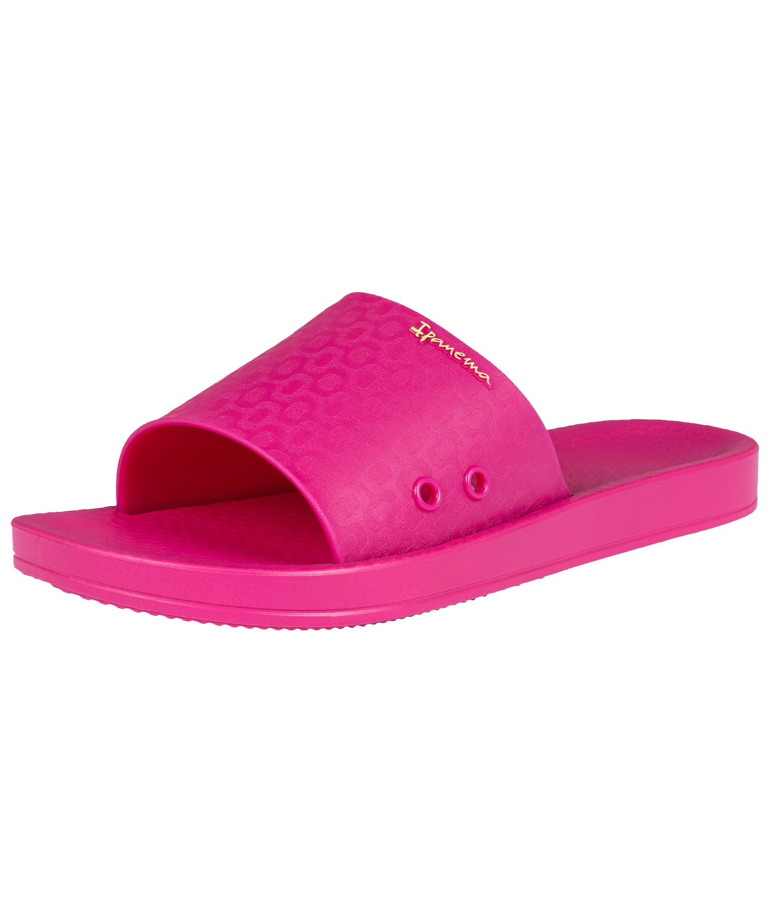 IPANEMA ANAT CLASSIC SLIDE FEM