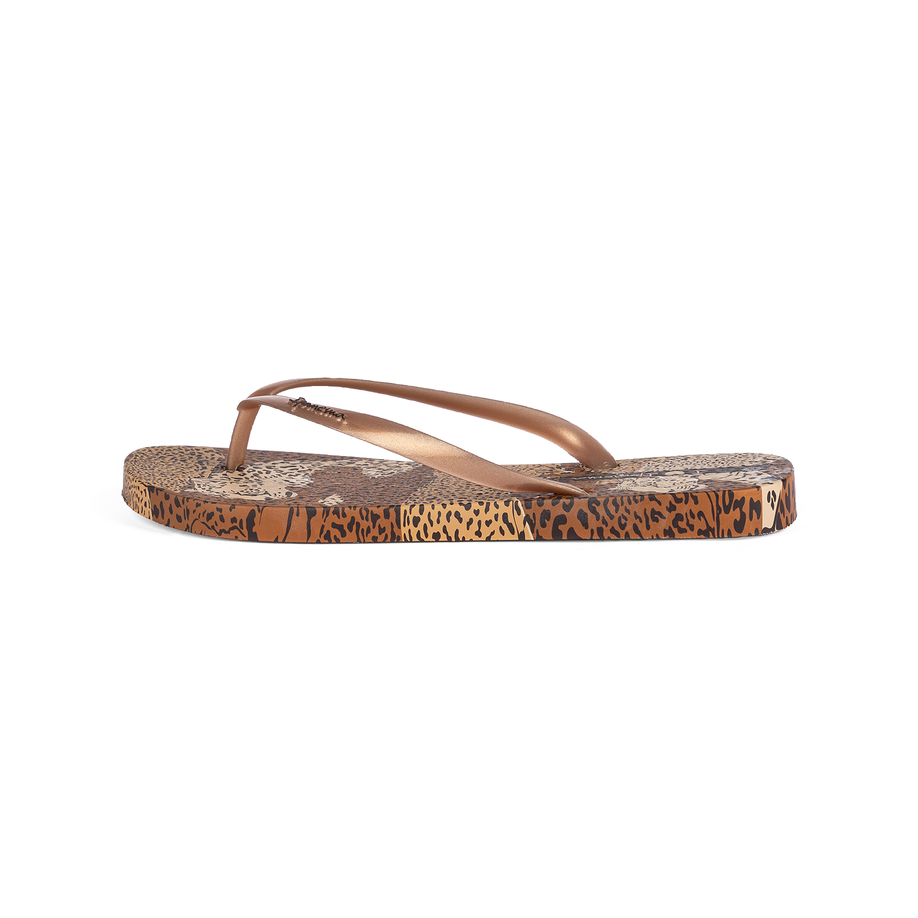 IPANEMA ANIMAL PRINT VI FEM