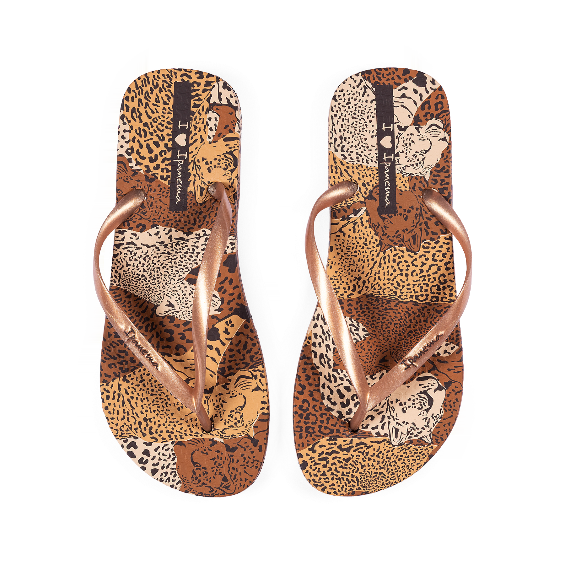 IPANEMA ANIMAL PRINT VI FEM
