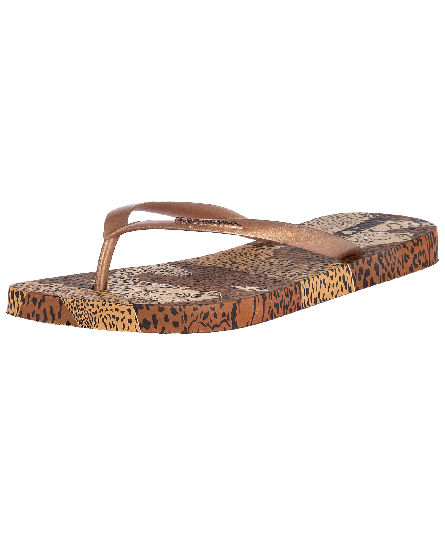 IPANEMA ANIMAL PRINT VI FEM