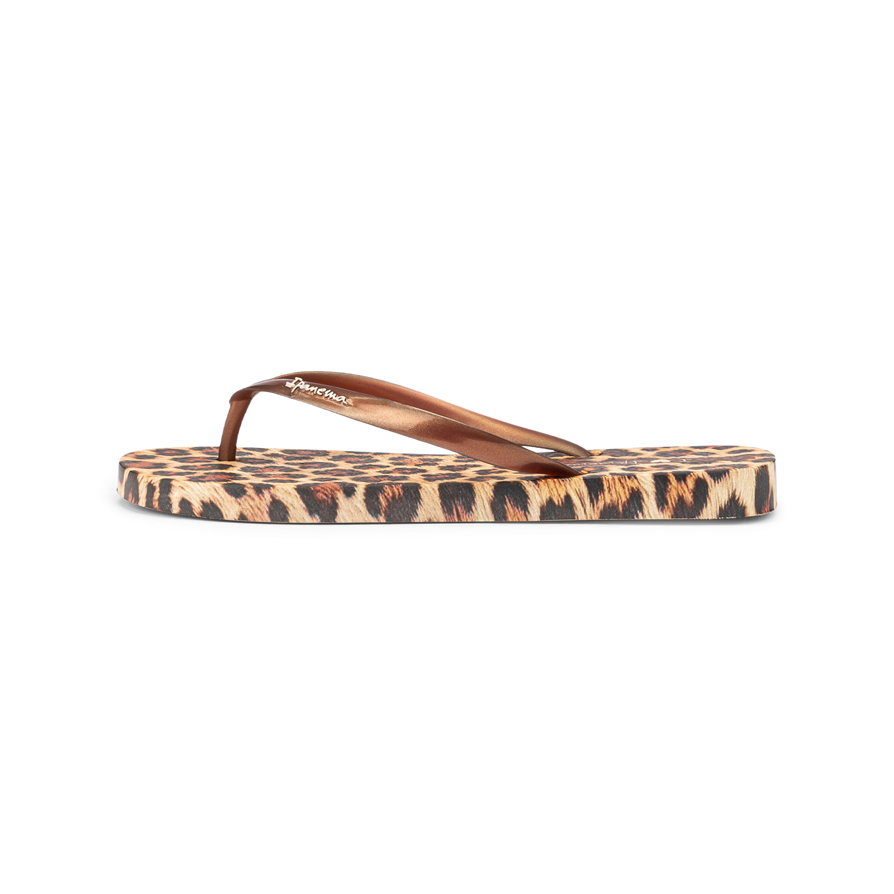 IPANEMA ANIMAL PRINT VII FEM*